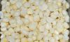 White Maize Corn 100% GMO free