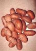 AGRICULTURE PRODUCT like GARCINIA KOLA NUT, KOLA NUT, GINGER, HONEY, G