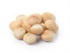 Macadamia Nuts Kernels