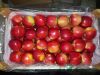 Red colored polish apples