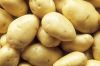 Non-GMO Fresh Potatoes