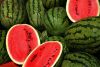 Fresh Watermelon Fruits