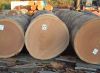 Quality Timber Logs For Sale