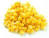 Canned sweet corn / Canned corn kernels / Canned corn factory For Sale