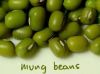 Green Mung Beans For Sale