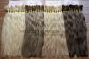 COLOR REMY HAIR, 100% HUMAN HAIR, VIETNAMESE HAIR with Wholesale price
