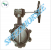 Lug Type Butterfly Valve