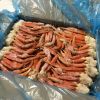 king crab Red King Crab Live and Frozen Red king crab for sale