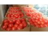 Quality Fresh Tomatoes Red Round