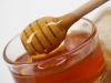 Bulk Organic European Bee Honey in 300kg barrels