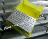 Galvanized Steel Strip Brad Nails for Pneumatic Guns