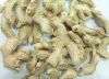 GINGER (DRIED, PEELED, SPLIT)