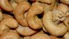 Cashew Nut