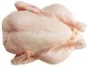 Halal Certified Frozen Chicken at great prices directly from factory