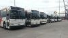 9 Transit Coach Buses - New Flyer 45 Foot