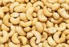 cashew nut