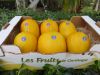 Melon Jaune Canaris by Les Fruits De Carthage