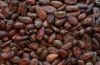 COCOA BEANS AND POWDER FOR SALE