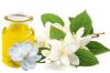 best quality 100% pure Natural jasmine essential oil