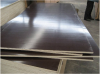 film faced plywood , commercial plywood from China