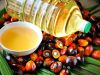 Palm Oil