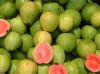 Cheap Fresh Guava