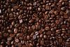 Cheap coffee beans available for sale