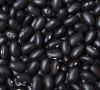 Cheap Black Kindey Beans available For Sale