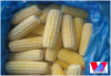 IQF Corn Whole