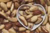 BRAZIL NUT