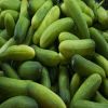 Fresh Cucumber, Okra, Tomatoes, 