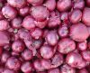 Onion Price/Cheap Onion/Bulk Fresh Red Onion