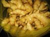 BEST GRADE AND QUALITY FRESH GINGER