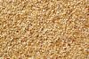 100% Natural Sesame Seeds for sale cheap price