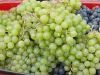 High Quality Fresh Seedless Green Grapes