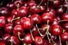 high quality and good sweet red cherry