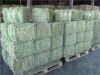 Quality Alfalfa Hay Bales. Alfalfa Cubes, Alfalfa Pellets