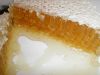 Premium quality fresh pure natural comb honey