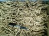 Fresh Red Ginseng Root, High Premium Panax Ginseng