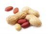High Quality Red skin peanut , peanuts