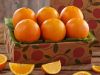 FRESH ORANGES / FRESH NAVEL ORANGES / FRESH VALENCIA ORANGES, FROM SOUTH AFRICA FOR SELL CLASS 1