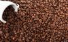 Grade A Robusta Coffee Beans