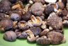 Good Quality Organic Dried Black Fungus Mushroom