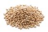 Feed Barley, Malt Barley