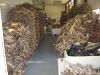 Quality Grade A Dried StockFish / Frozen Stock Fish for Sale