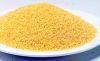 High Quality Yellow White Broom Corn Millet/Millet Seed