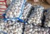 new crop Nature Fresh Garlic/Pure White Garlic/Normal White Garlic