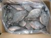 Top High quality IQF Frozen Red Whole Round Tilapia fish (Oreochromis Niloticus)