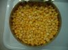 Canned Sweet Kernel Corn in Brine Gloden Yellow