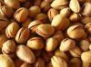 Grade A Pistachio nut best price